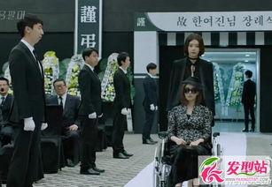 龙八夷在线观看土豆  第2张